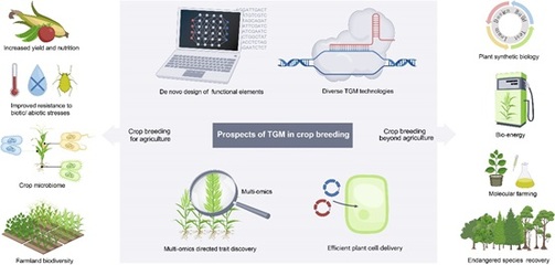 高彩霞研究組在Nature Reviews Genetics發(fā)表綜述 基因組靶向修飾工具在作物育種中的前沿應用