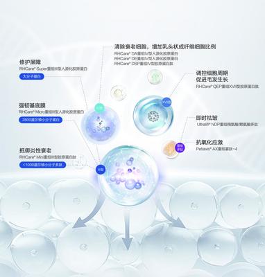 重組膠原蛋白賽道的創(chuàng)新解題思路 對話迪諾薇華孫璞談細胞技術研發(fā)與應用